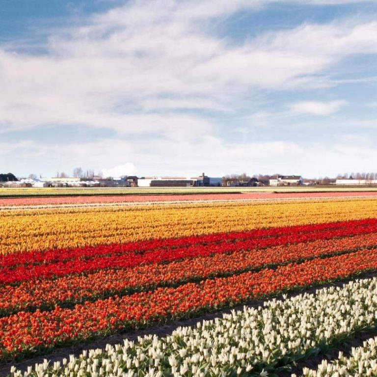 Bellezas de Europa – Viaje a Andalucía y Madrid Bellezas de Europa